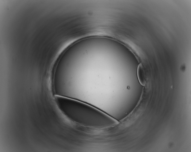 X0000103421468200809121001