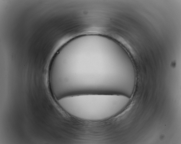 X0000103421469200809121001