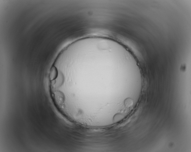 X0000103421471200809121001