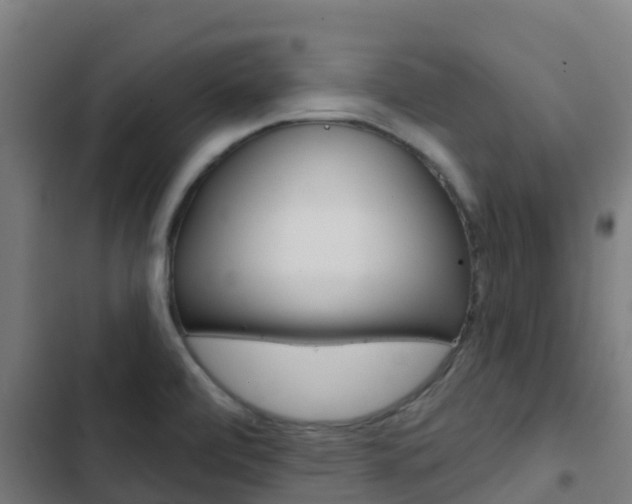 X0000103421472200809121001