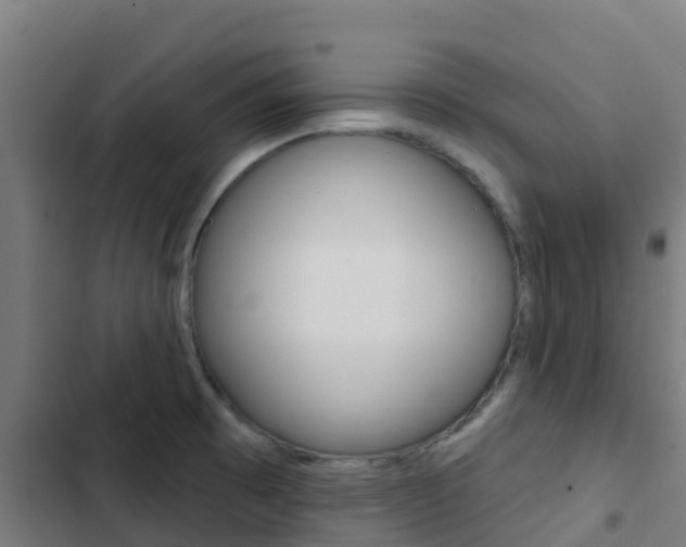 X0000103421473200809121001