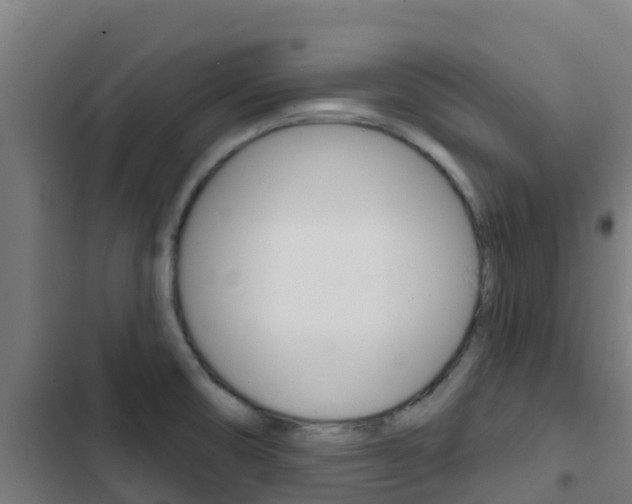 X0000103421474200809121001