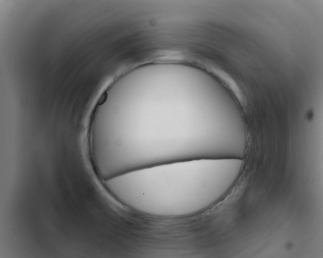 X0000103421475200809121001