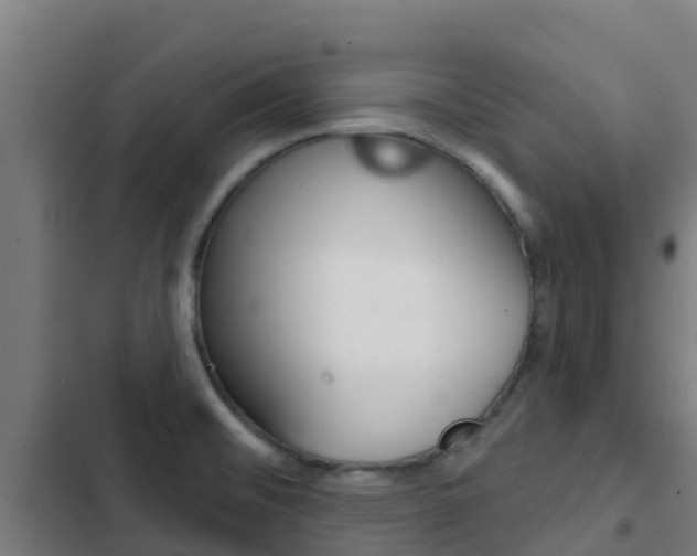 X0000103421476200809121001