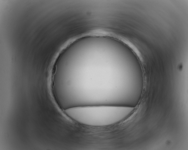 X0000103421477200809121001