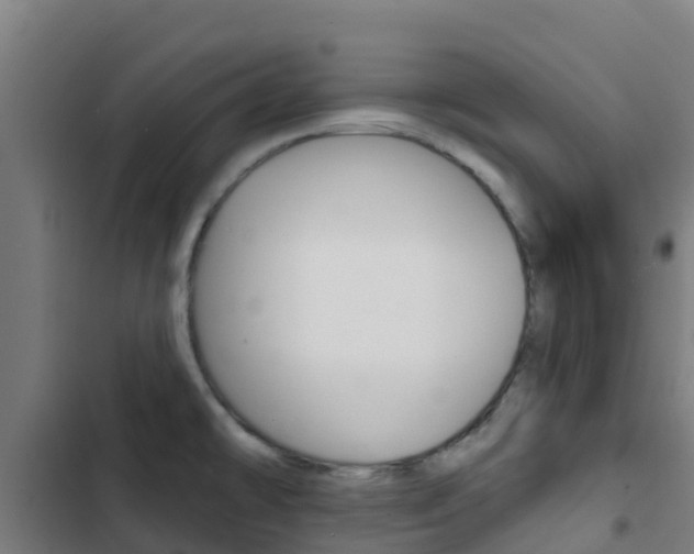 X0000103421478200809121001