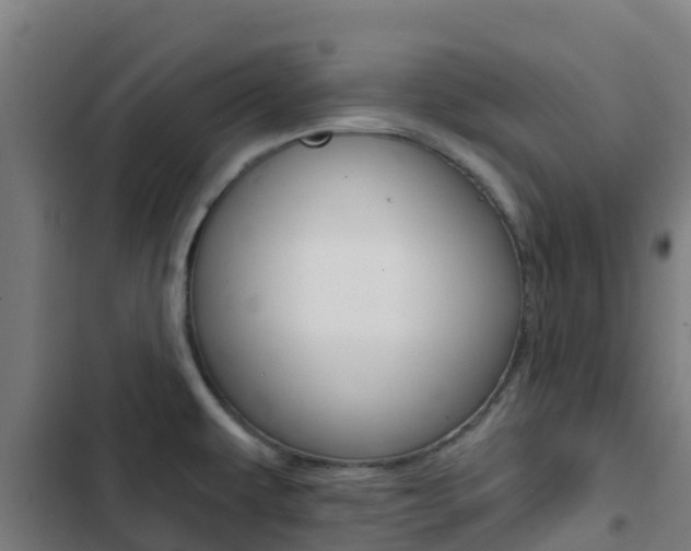 X0000103421479200809121001