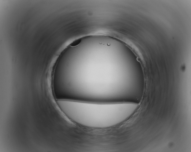 X0000103421480200809121001
