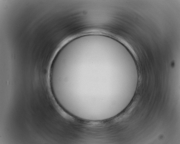 X0000103421482200809121001