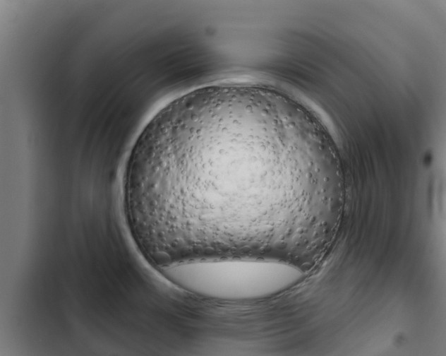 X0000103421483200809121001
