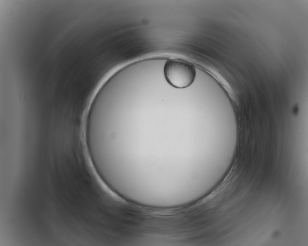X0000103421484200809121001