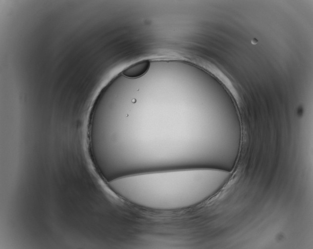 X0000103421485200809121001