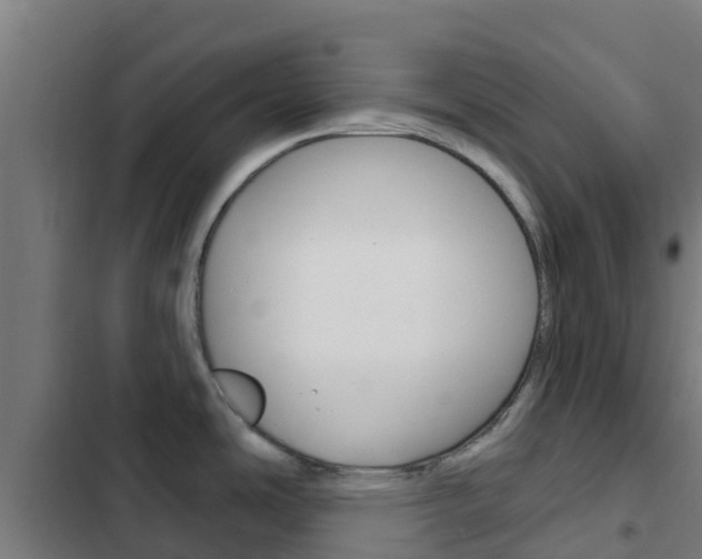 X0000103421486200809121001