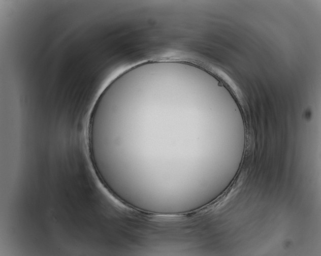 X0000103421487200809121001