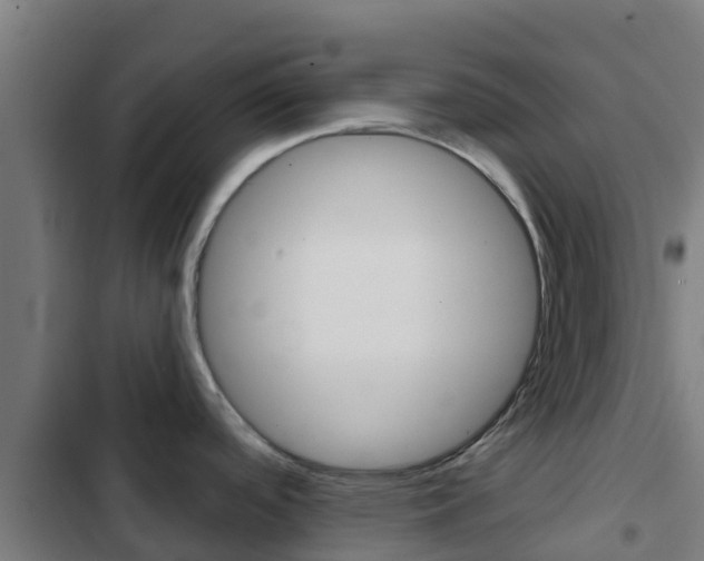 X0000103421488200809121001