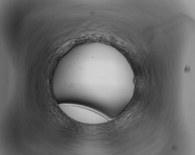 X0000103421489200809120959