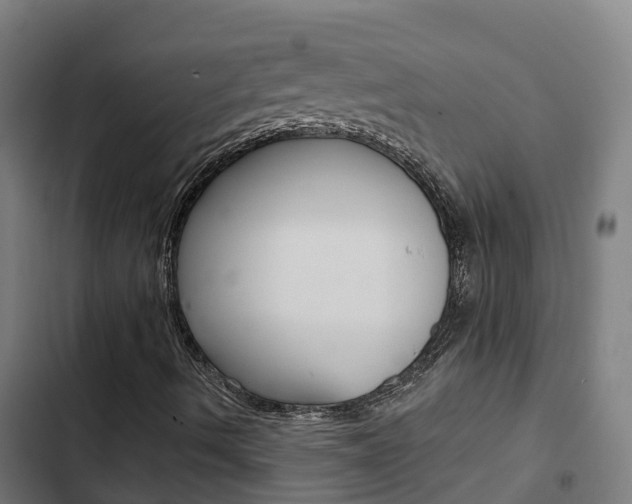 X0000103421490200809121000