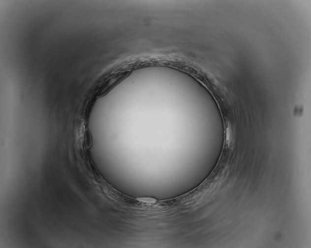X0000103421492200809121000