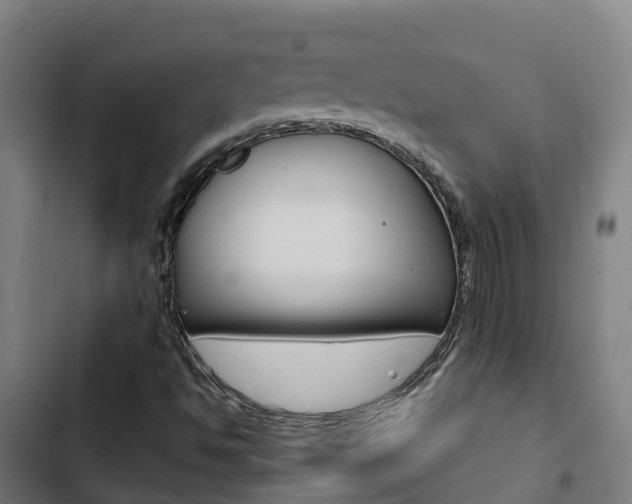 X0000103421494200809121000