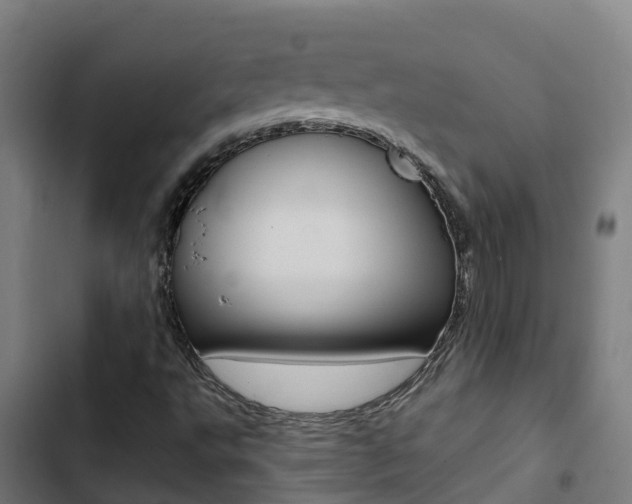 X0000103421495200809121000