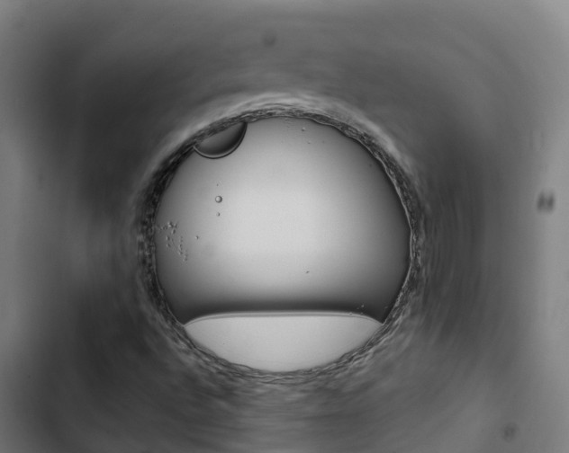 X0000103421496200809121000