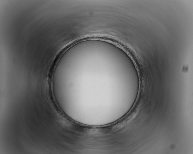 X0000103421497200809121000