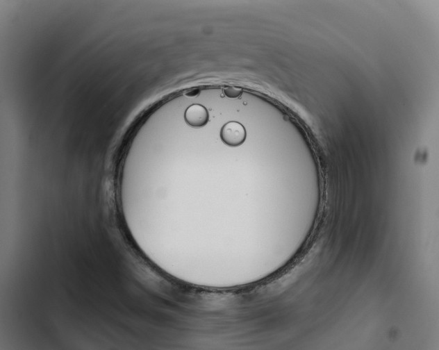 X0000103421498200809121000