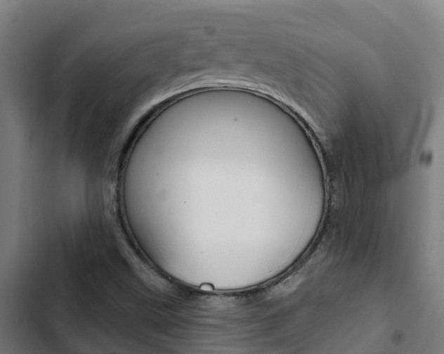 X0000103421499200809121000