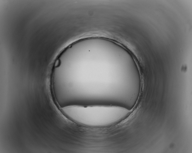 X0000103421500200809121000
