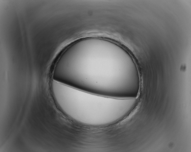 X0000103421501200809121000