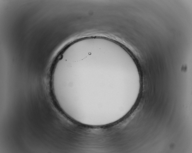 X0000103421502200809121000