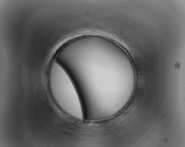 X0000103421503200809121000