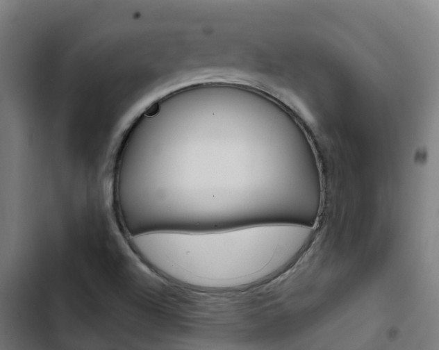 X0000103421504200809121000