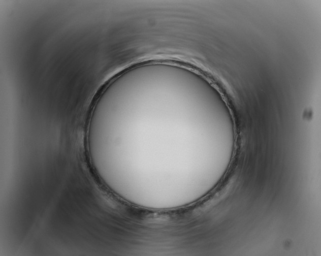 X0000103421505200809121000