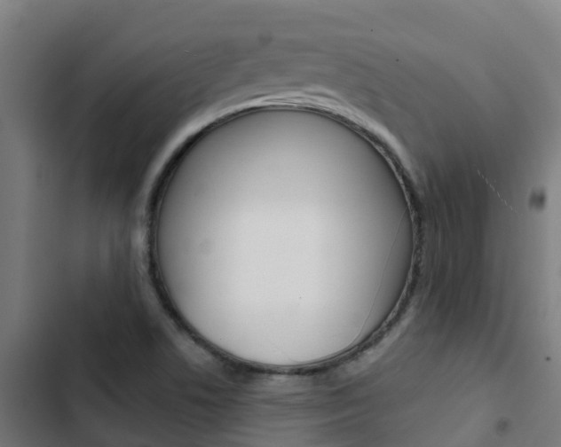 X0000103421506200809121000