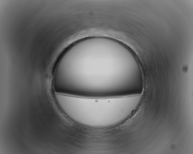 X0000103421507200809121000