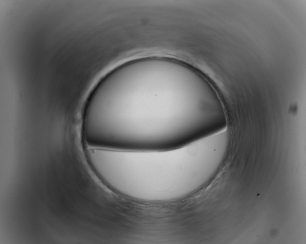 X0000103421508200809121000