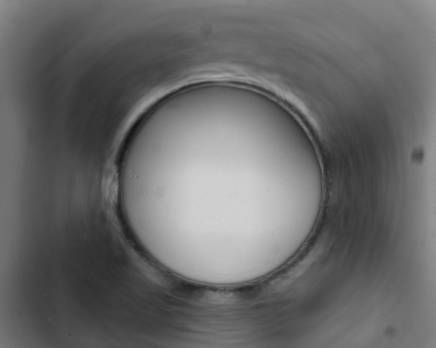 X0000103421509200809121000