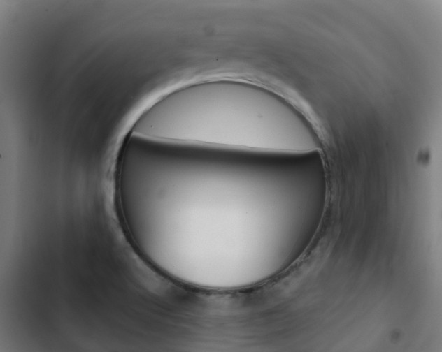 X0000103421512200809121000