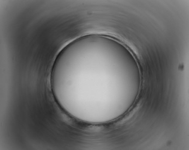 X0000103421513200809121000