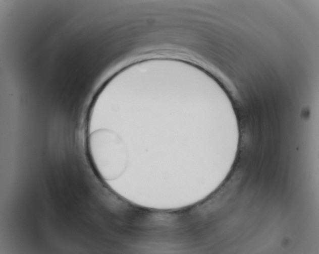 X0000103421514200809121000