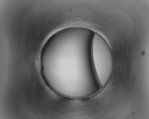 X0000103421515200809121000
