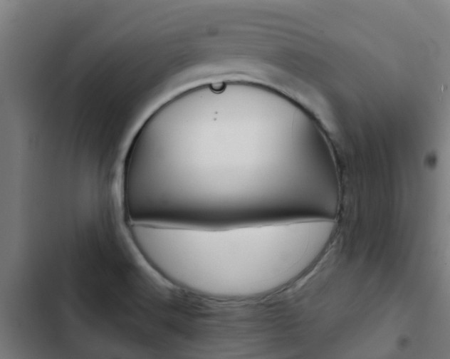 X0000103421516200809121000
