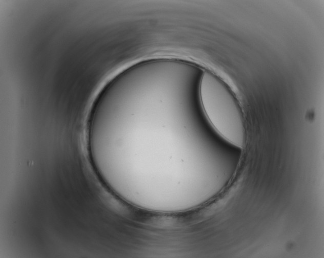 X0000103421517200809121000