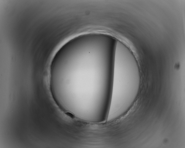 X0000103421520200809121000