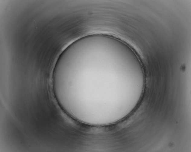 X0000103421521200809121000