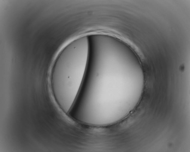 X0000103421522200809121000