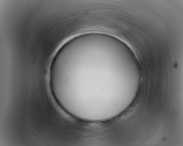 X0000103421523200809121000