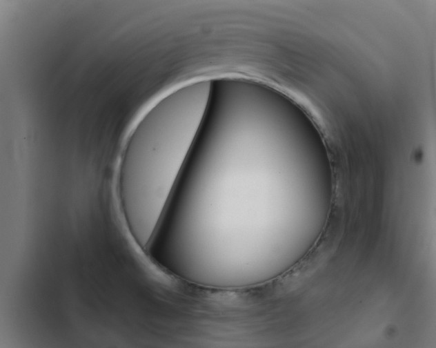 X0000103421524200809121000