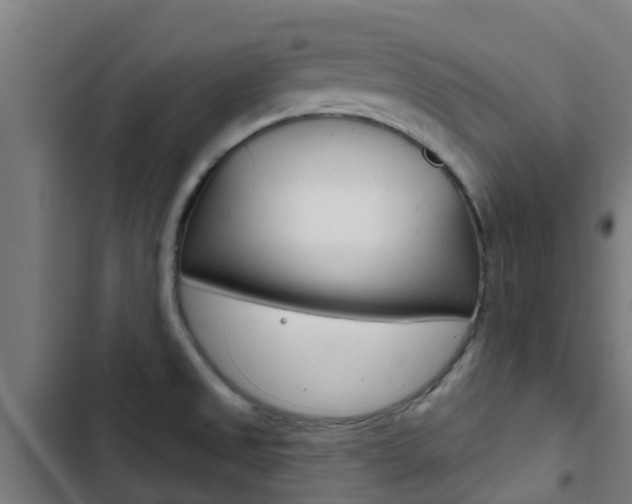 X0000103421525200809121000